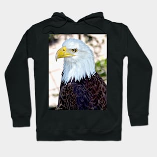 American Bald Eagle Hoodie